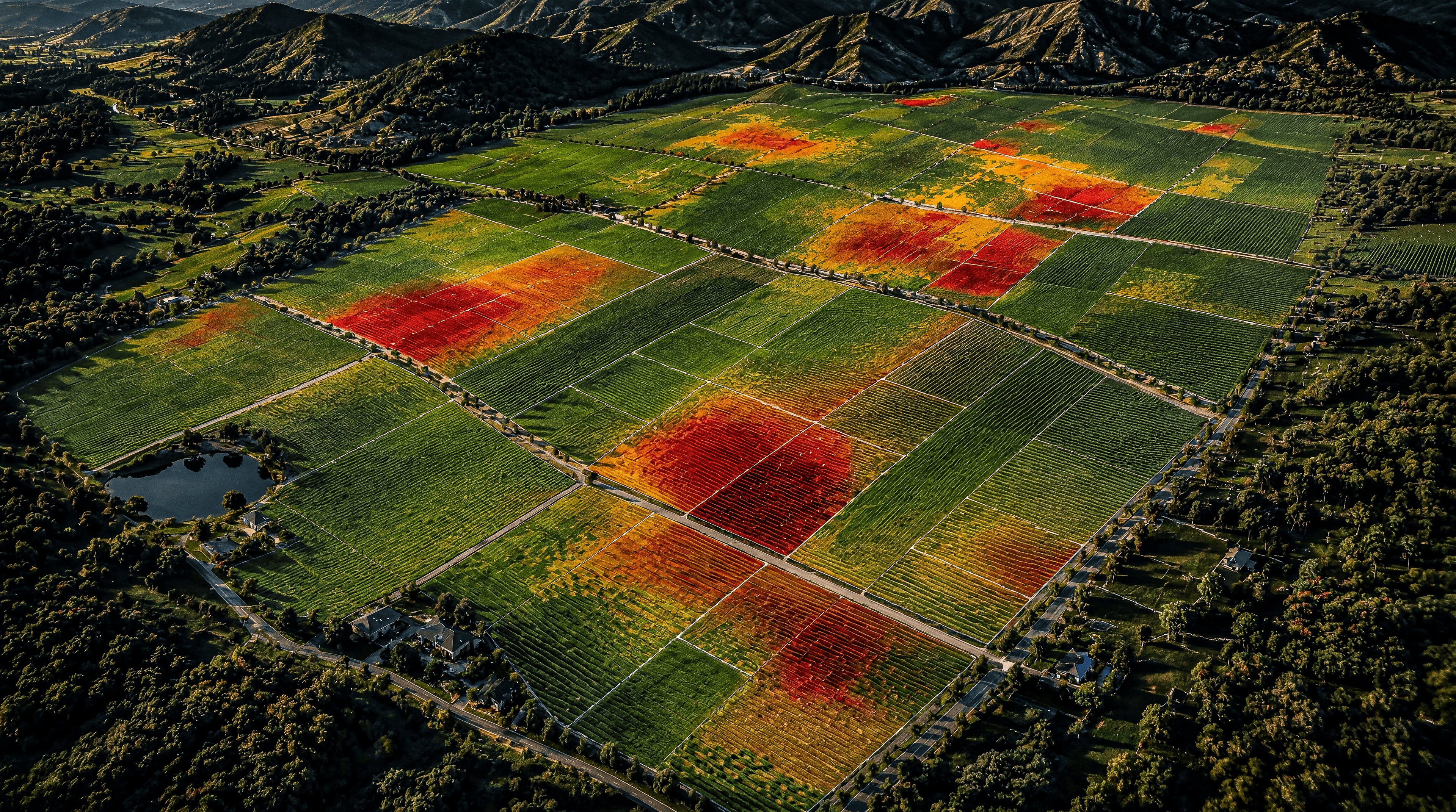 Vineyard intelligence map